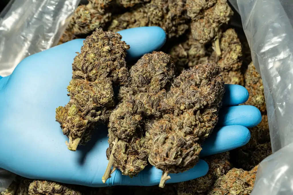 重庆建筑机械租赁市场趋势:塔吊与施工电梯需求持续走高