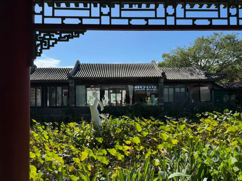 重庆恒凡达塔吊与施工电梯租赁方案：保障高层建筑施工效率
