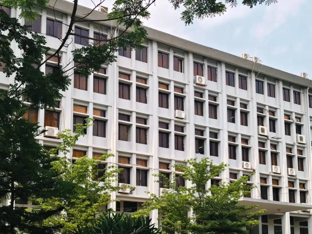 挖掘机与装载机租赁对比：施工场地如何匹配机械设备