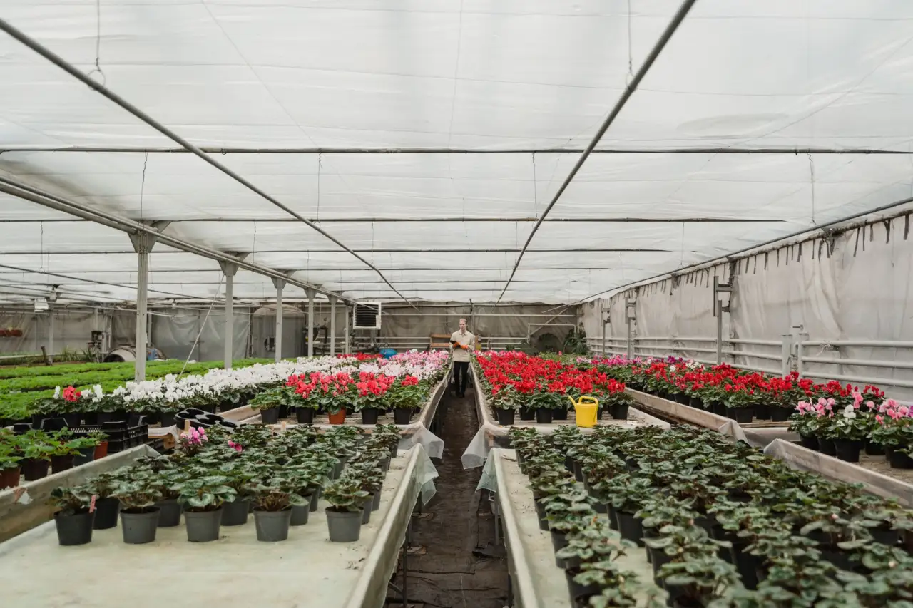 塔吊与施工电梯如何协同作业？建筑工地垂直运输方案设计