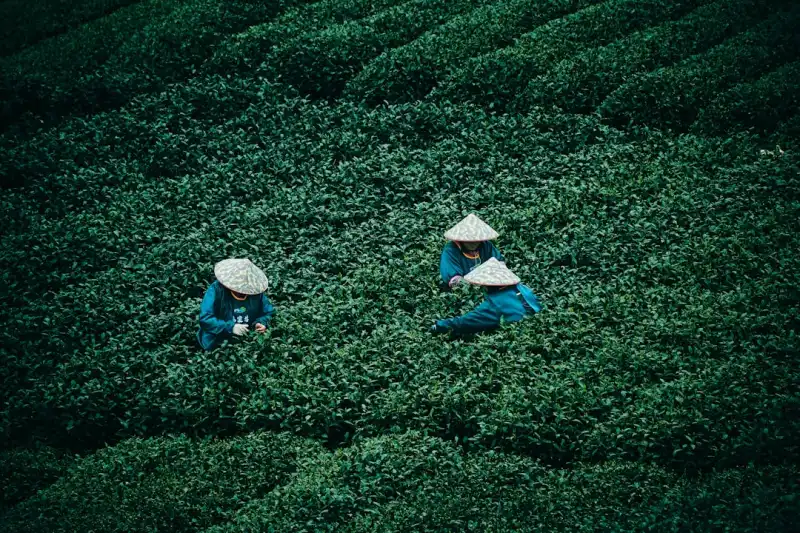 影响建筑机械租赁成本的几个关键因素与应对策略