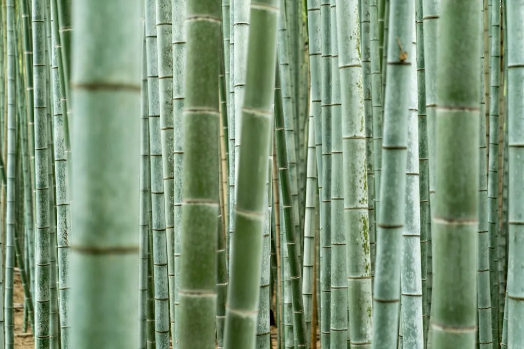 重庆恒凡达建筑机械租赁：塔吊与施工电梯的型号选择与应用分析