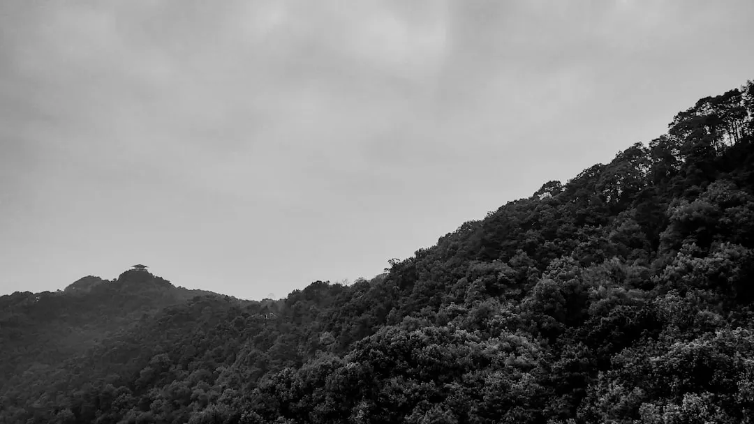 重庆恒凡达建筑机械租赁：塔吊与施工电梯的型号选择与应用分析