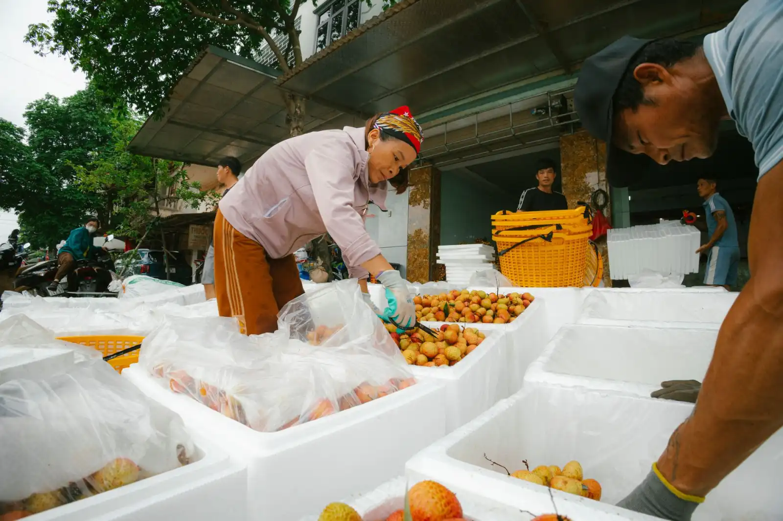 重庆工地塔吊租赁选型指南：如何根据施工需求匹配设备型号