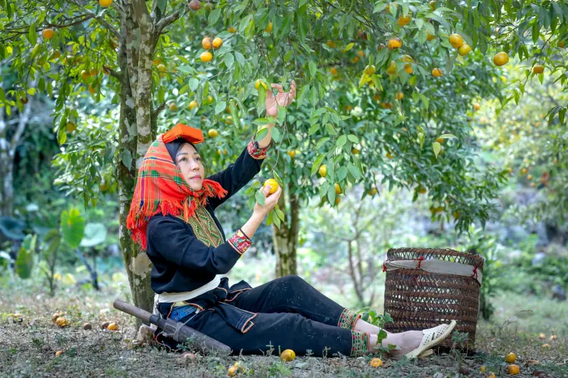 挖掘机与装载机在西南工地施工中的设备搭配方案