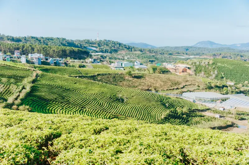 西南地区建筑机械租赁服务升级：恒凡达设备维保体系解析
